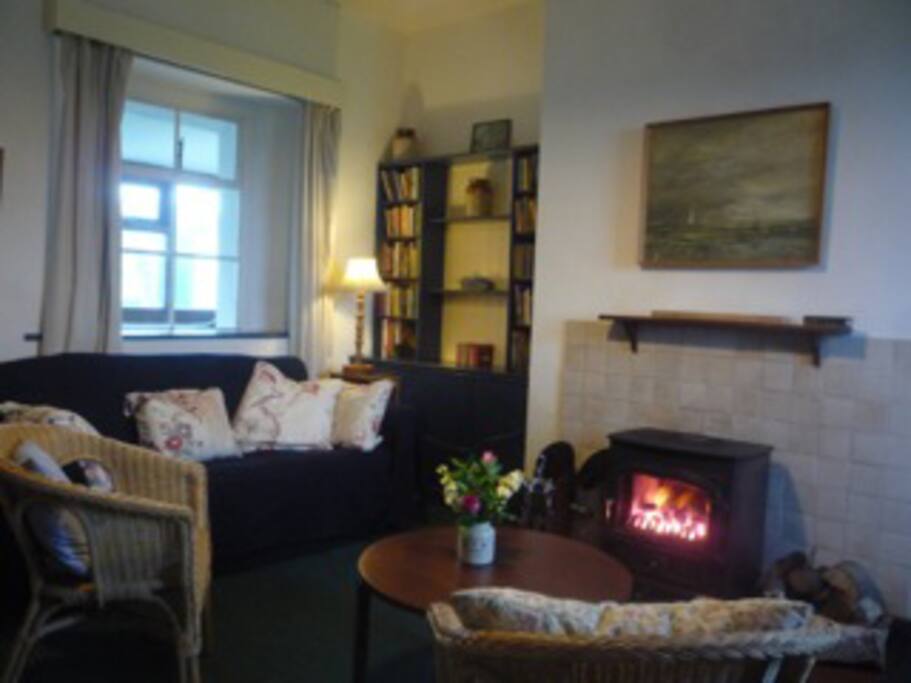 Living Room Stove