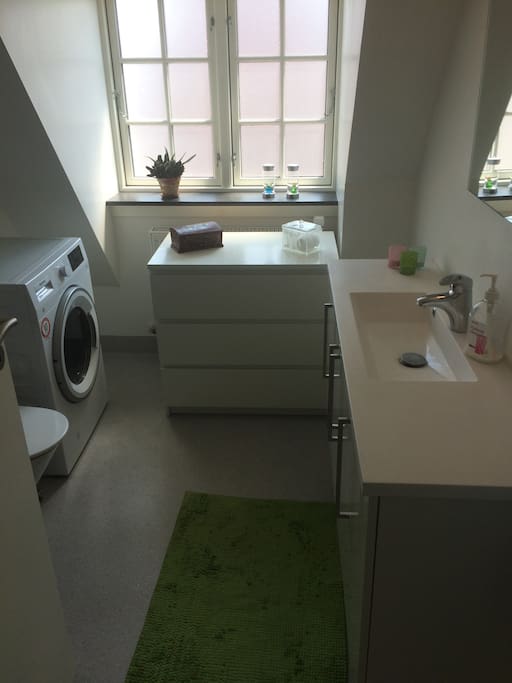 Badeværelse med kombineret vaskemaskine og tørretumbler
Bathroom with combinet washer/dryer