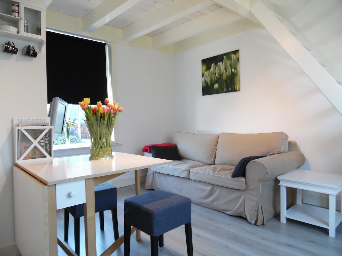 Keukenhofbos Vacation Rentals & Homes - Lisse, Netherlands | Airbnb