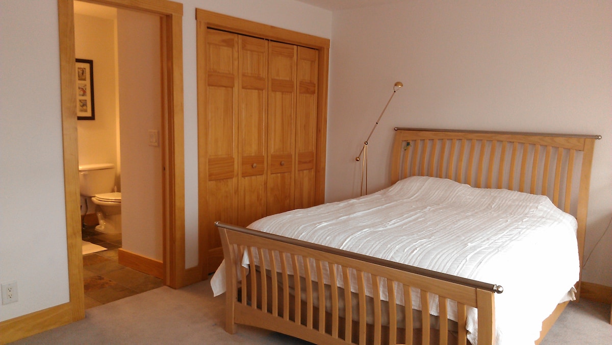 Главна спална соба со соседна бања.