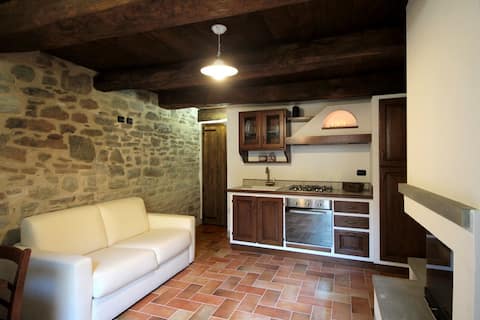 Successful Airbnb property: Terrace overlooking the park (La Legnaia) in Forlì Cesena