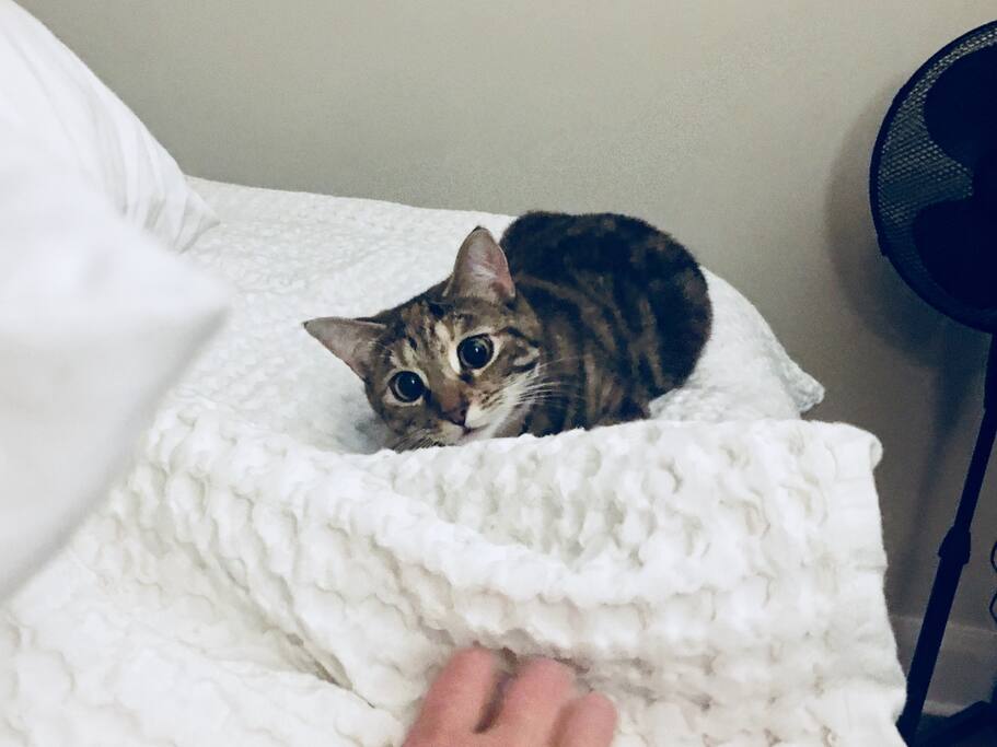 The Baby