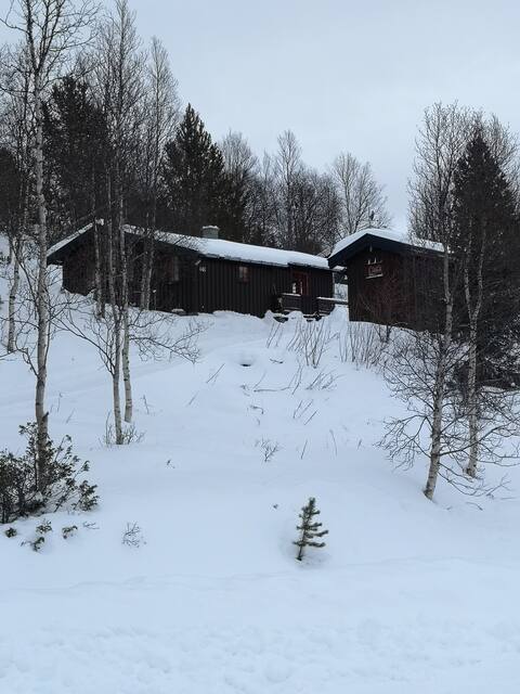 Cozy cabin at Bukkvollan m view of Olavsgruva