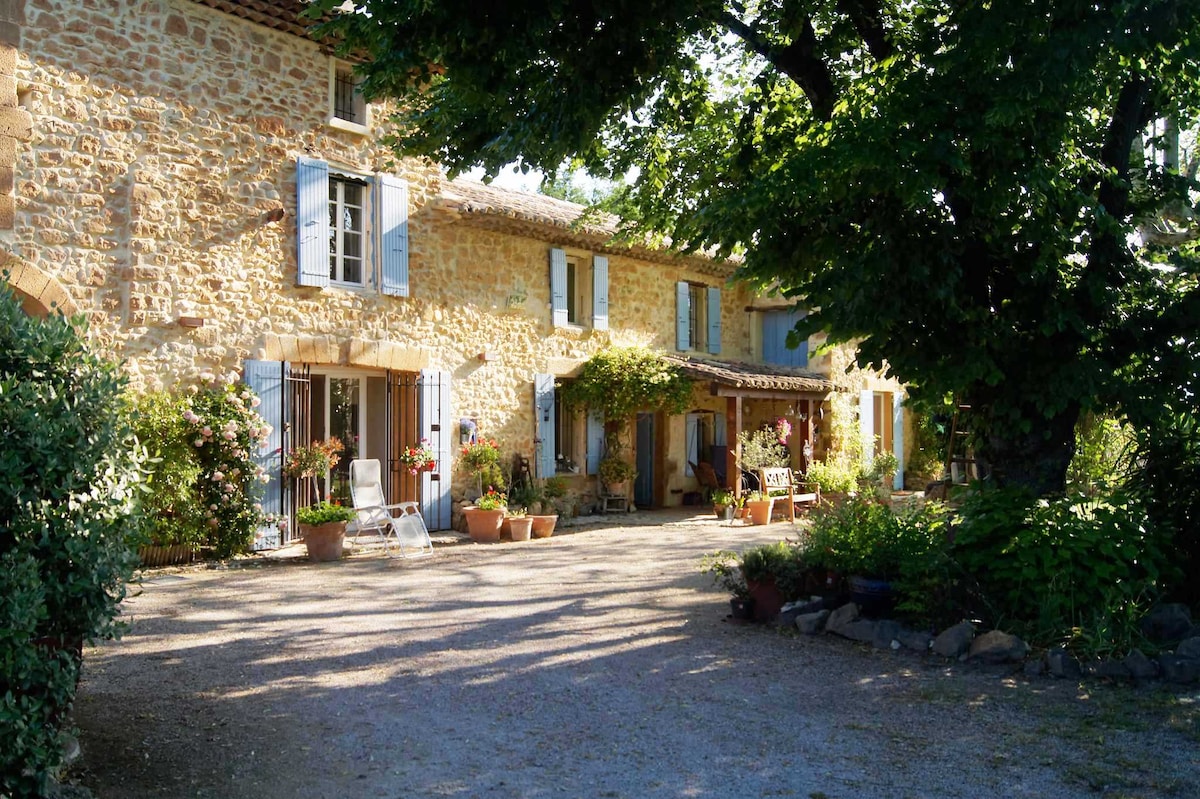 A charming stone building is framed by lush greenery and features light blue shutters. Flower pots add color to the entrance, which includes seating areas for relaxation. Sunlight filters through the trees, creating a peaceful ambiance in the courtyard.