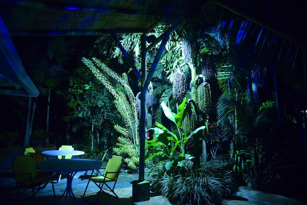 disfrutando de la naturaleza también en la noche
