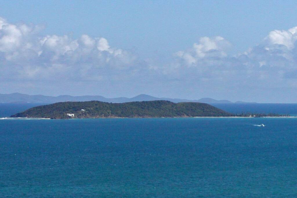 Isla de Palomino.