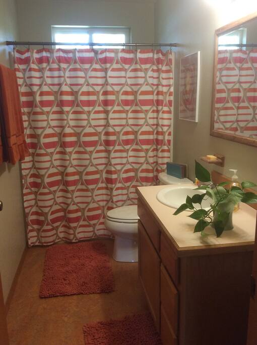 Guest bathroom