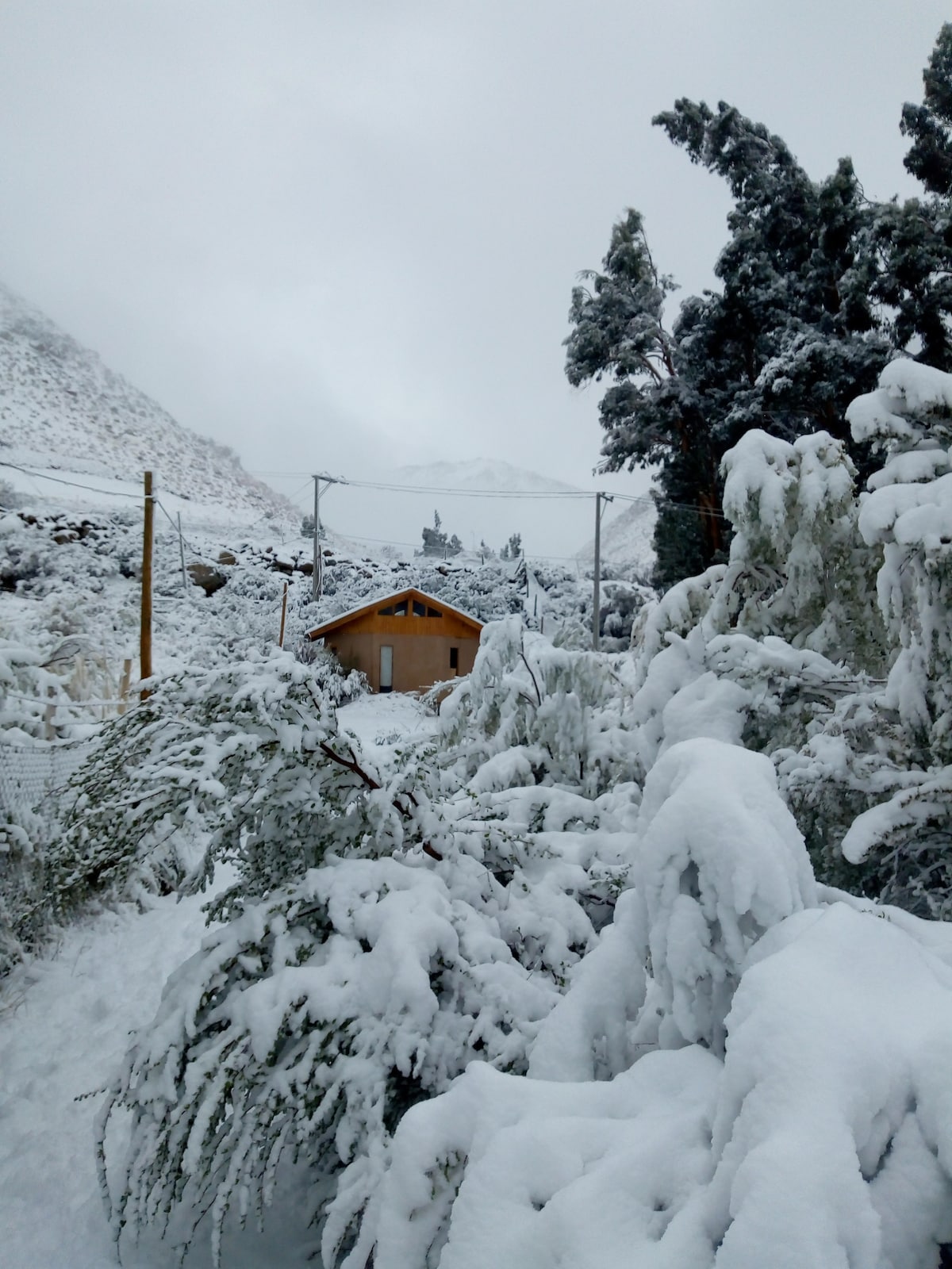 An octagonal adobe cabin is viewed from a snow-covered pathway, partially obscured by snow-laden trees. Surrounding mountains are seen in the background, shrouded in a light mist. The scene conveys a serene and quiet winter landscape, emphasizing the cabin's unique architecture.