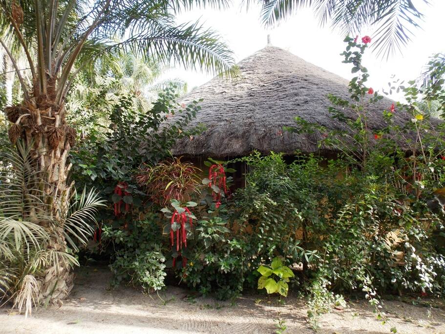 Maison enfui dan la végetation