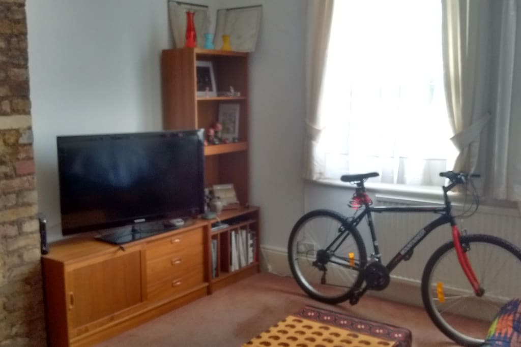 Living room with a sofa bed for two, with a normal mattress so good sleep for everyone!