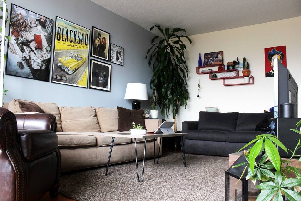 Living Room - Plenty of space, a TV and lot of plants. And a balcony!