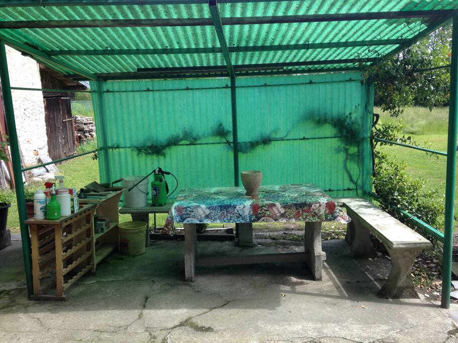 Patio 2
