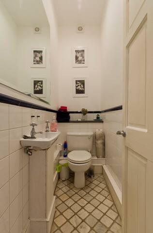 Lovely 5 bedroom house w garden in Barnes, London gallery image 5