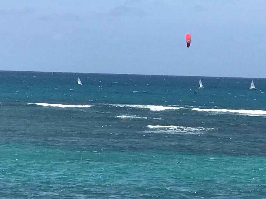REGATA DE HOBIE CAT