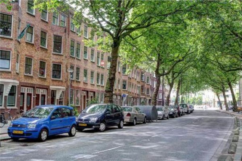 One of the most beautiful lanes of Rotterdam