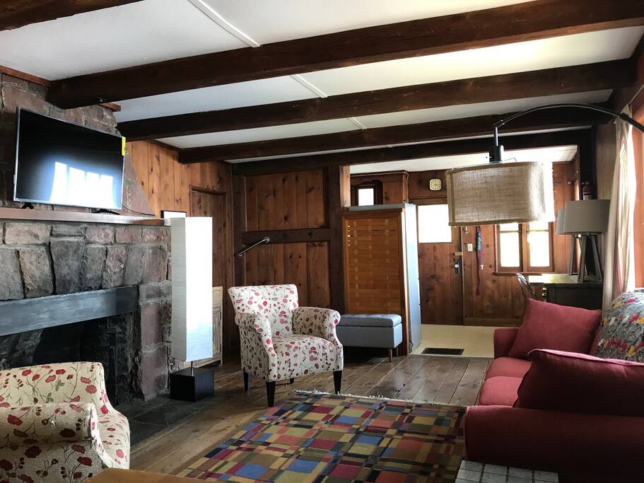 Living room with sofa bed