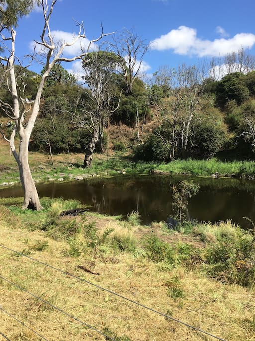 Private fishing hole