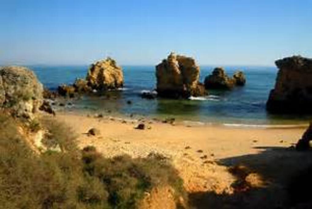 local beach