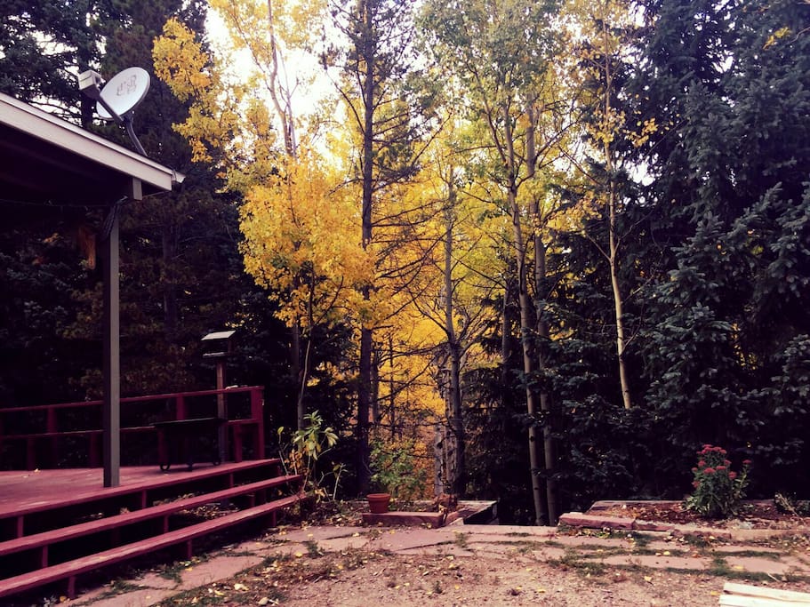 Aspens in their full autumn glory just off the wrap around deck