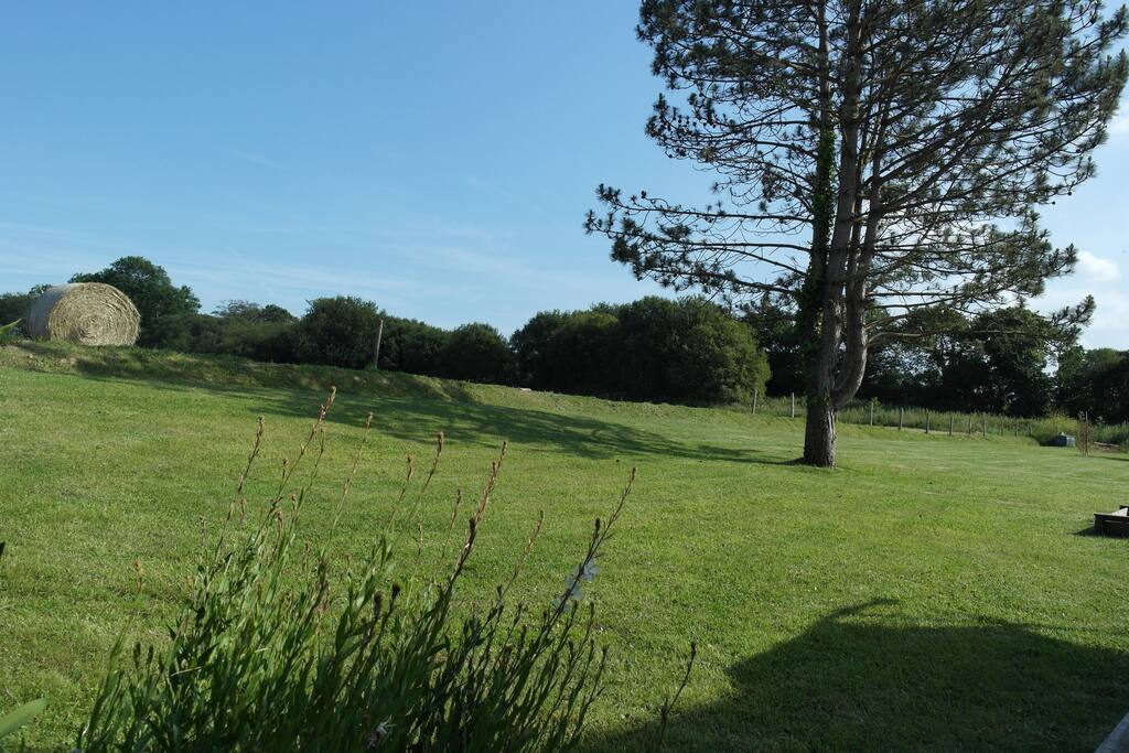 Jardin