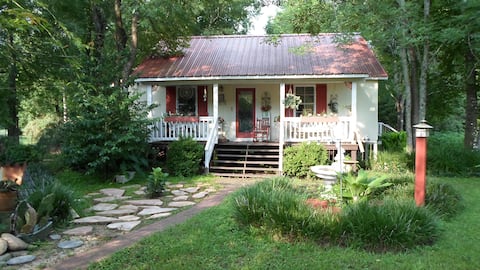 A Paradise in Progress