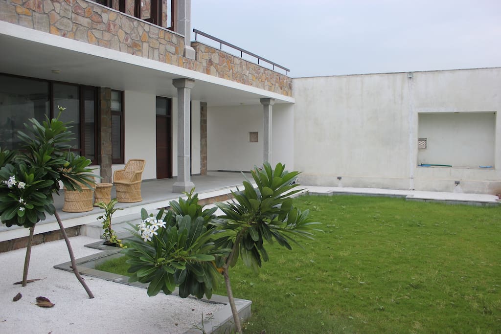 the Back garden