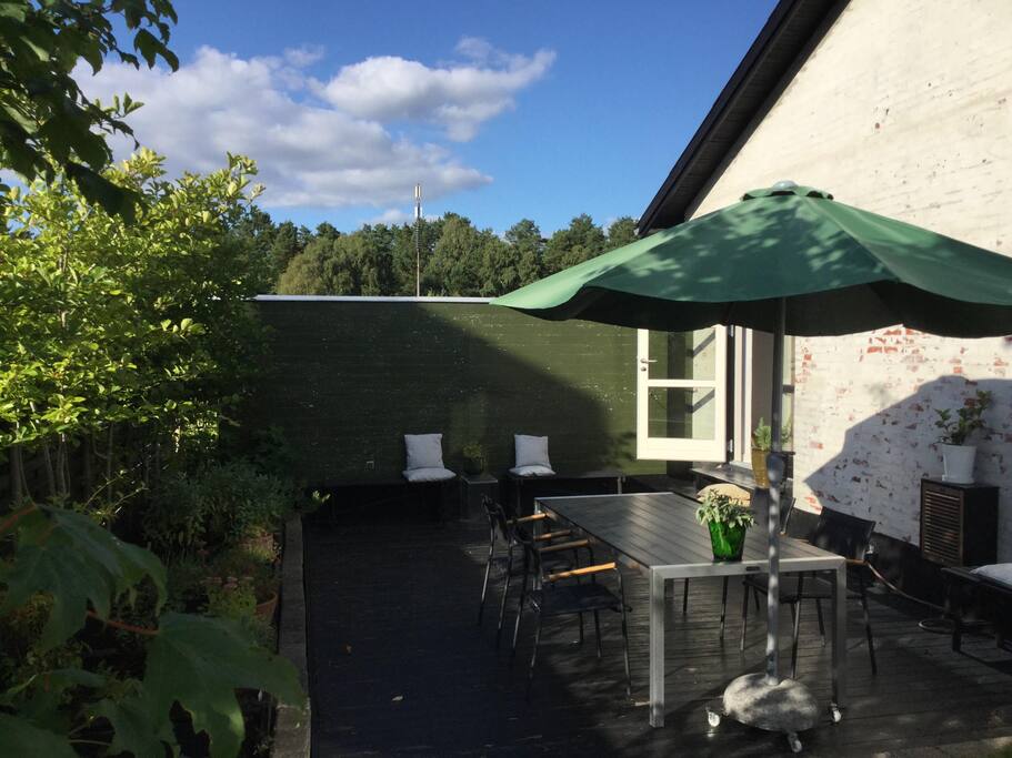 Gårdhaven - vender mod vest og aftensol.