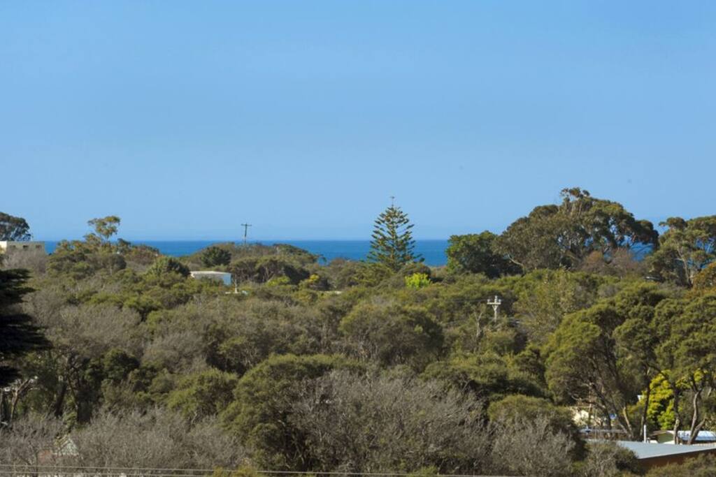 View from Balcony