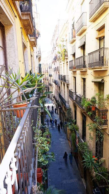 Overlooking the street