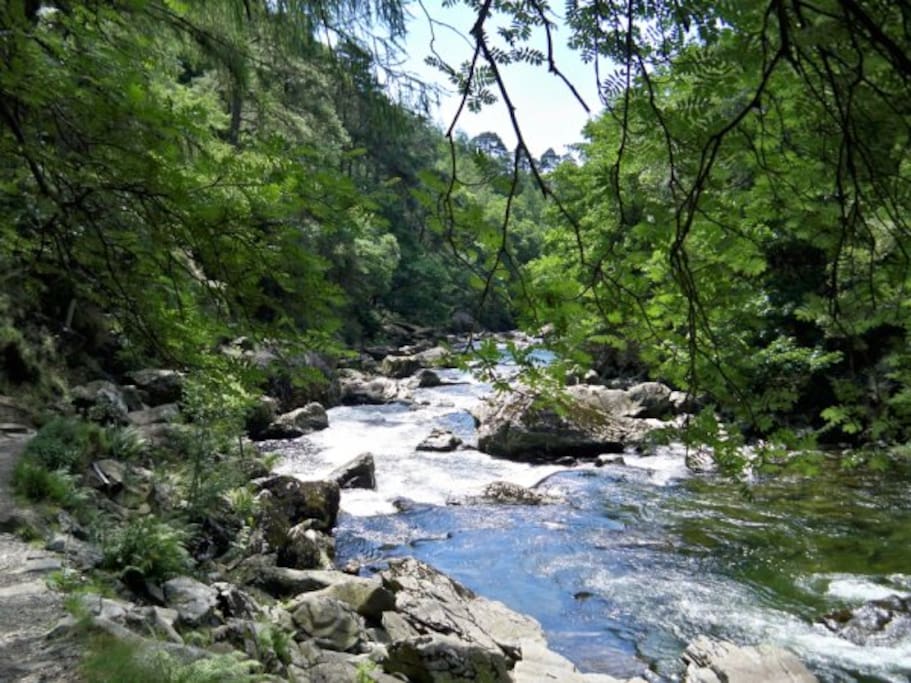 The fisherman's path