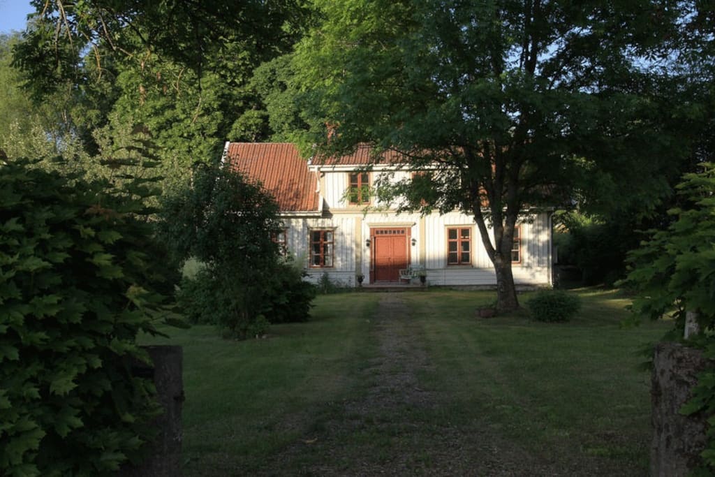 The view from the street