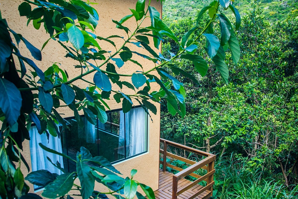 The exterior of the studio is framed by lush green foliage, showcasing large windows with sheer curtains. A wooden deck is visible, providing an inviting outdoor area that connects the studio to the surrounding nature.