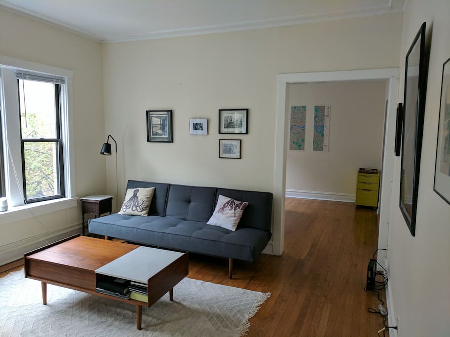 Living room + sleeper sofa