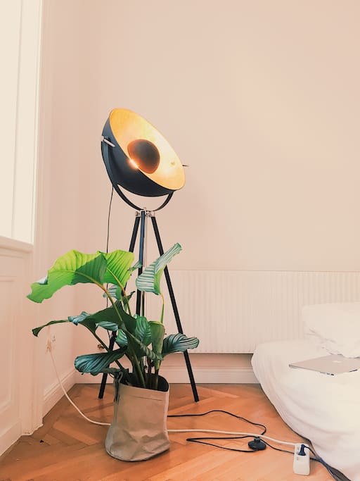this lamp brings golden light into my room and my plant loves its place at the window