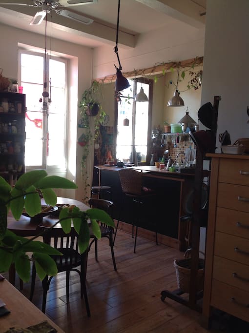 Espace partagé: Vue d'ensemble de la cuisine - bar et salle à manger