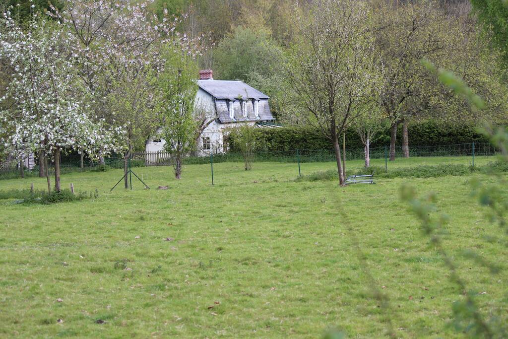 entourée d'arbre et de verdure