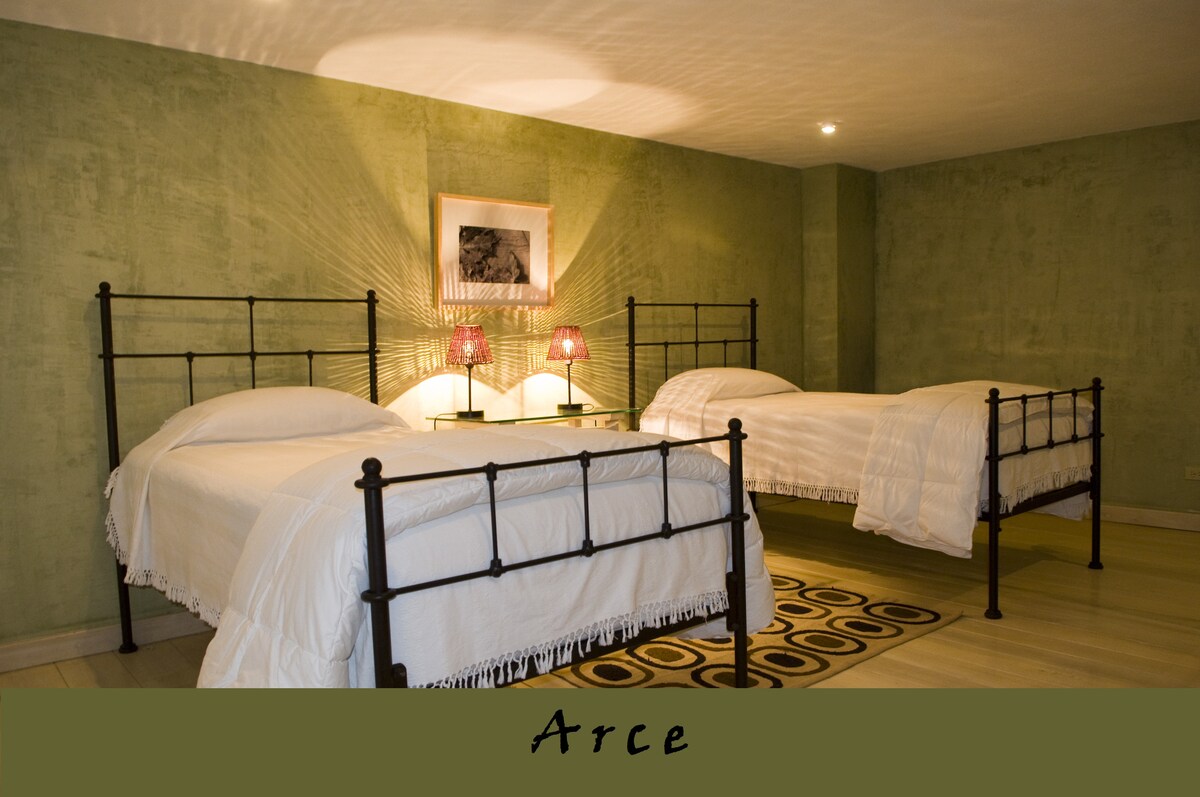 Two individual beds with white linens are positioned in a light-filled room with green walls. Decorative lamps on each bedside table provide soft lighting, and a piece of art is displayed above the beds. A patterned area rug adds a touch of comfort underfoot.