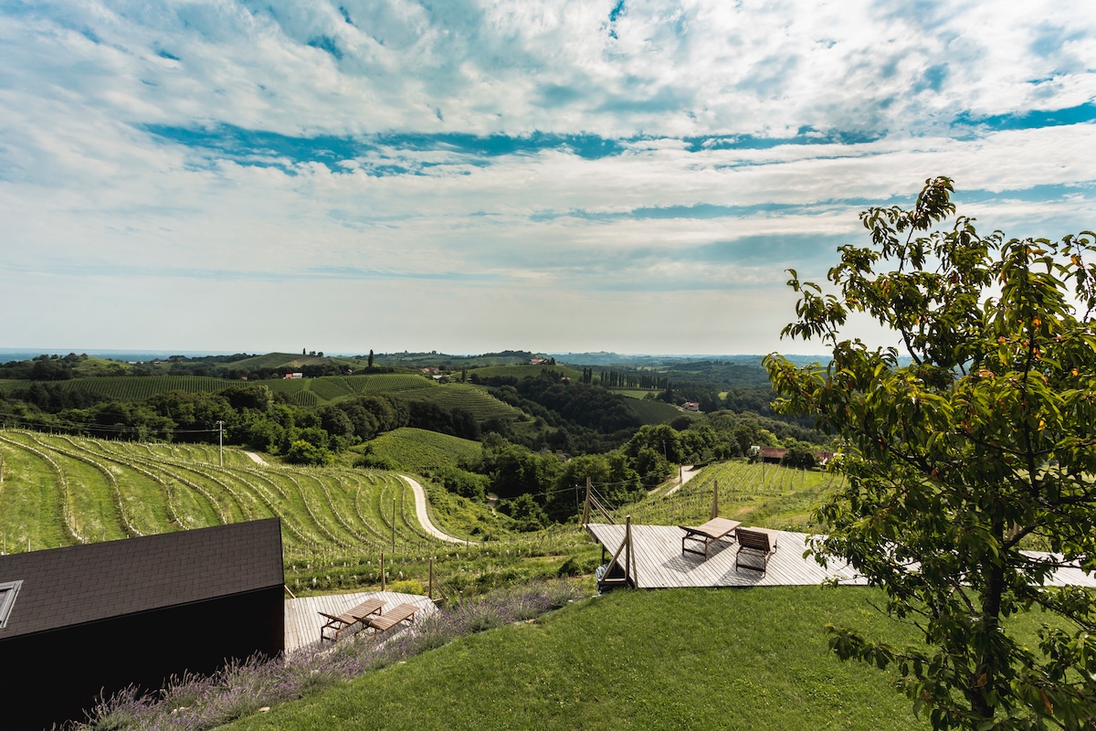 A sweeping view of the verdant vineyards stretches across the landscape. Rolling hills are visible in the distance under a partly cloudy sky. The foreground features a wooden terrace with loungers, offering an inviting space to enjoy the scenery.