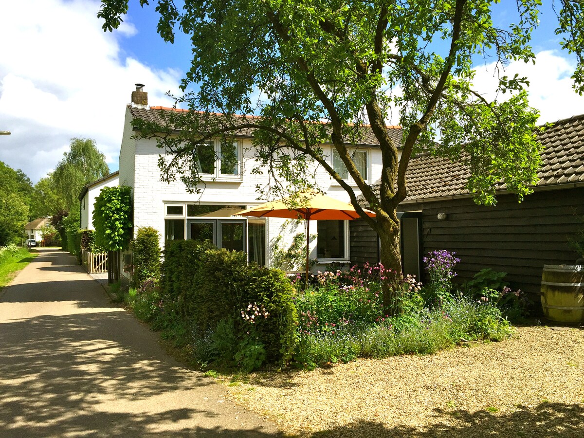 A charming home is nestled amidst vibrant greenery and blooming flowers, accompanied by a sunny orange awning. The surrounding pathway invites exploration in this tranquil setting, while large windows enhance the light-filled facade.