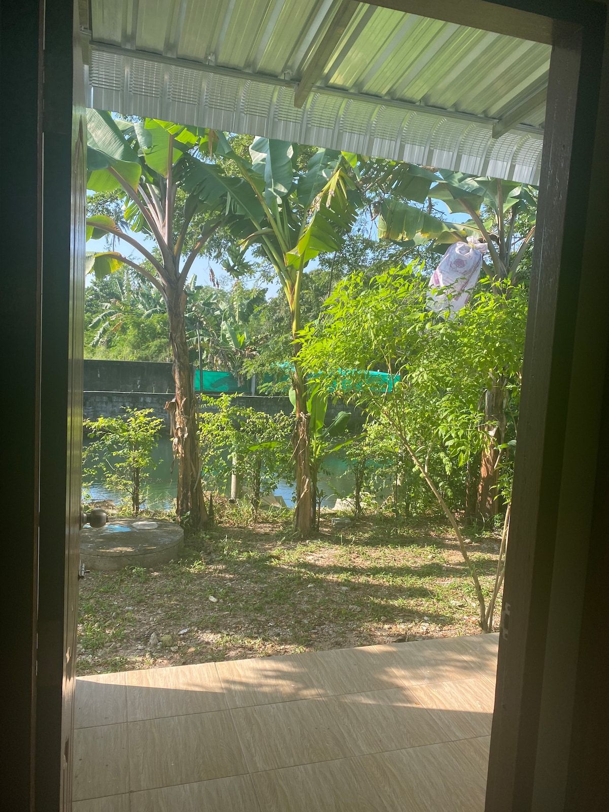 The view from an open door showcases a peaceful outdoor area filled with banana trees and lush greenery. Sunlight filters through the leaves, illuminating a small garden space that leads to a tranquil water body in the background.