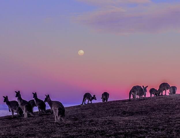 Coastal Creations @York, 2bed Apt, 450m to Beach gallery image 3