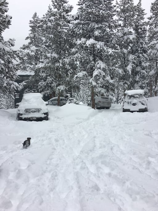Winter at our house - 12/25/2017