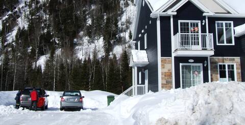 Condo Aux Calembours , 225606