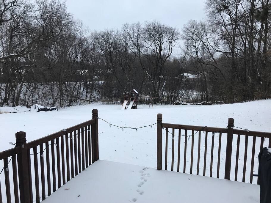 Back yard