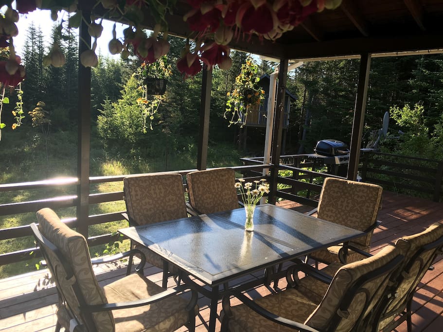 The patio is completely private. Perfect for drinking coffee and watching the birds in the morning or enjoying drinks and a BBQ at the end of the day.