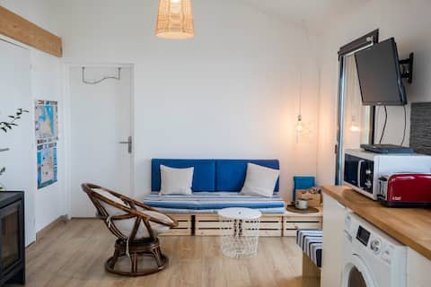 Top performing Airbnb: T3 exceptional sea view, 50 m from the beach in Hendaye