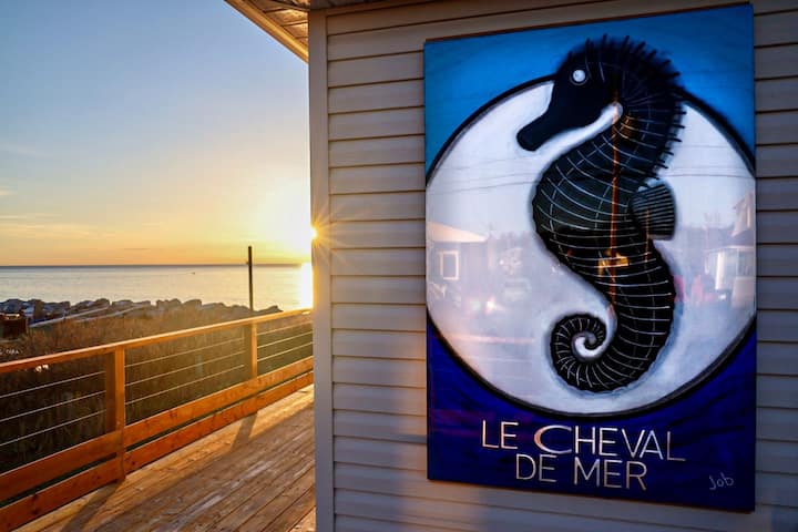 Le Cheval de mer