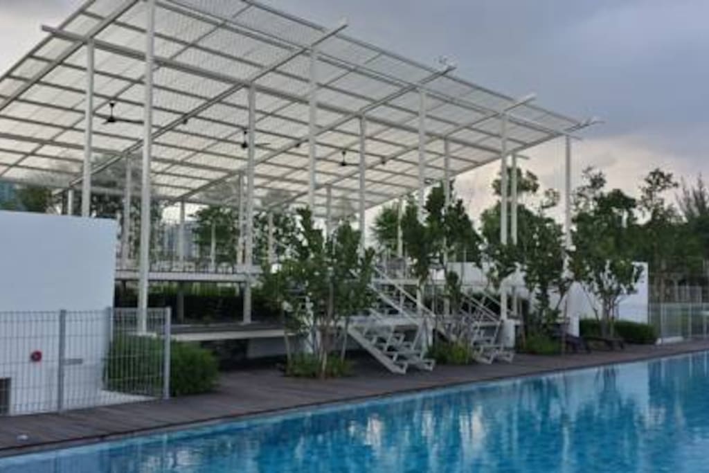 Adult pool