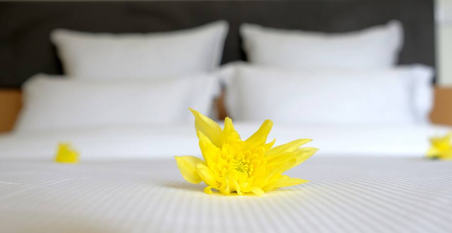 Letheshome Apartments Porto T2 gallery image 2