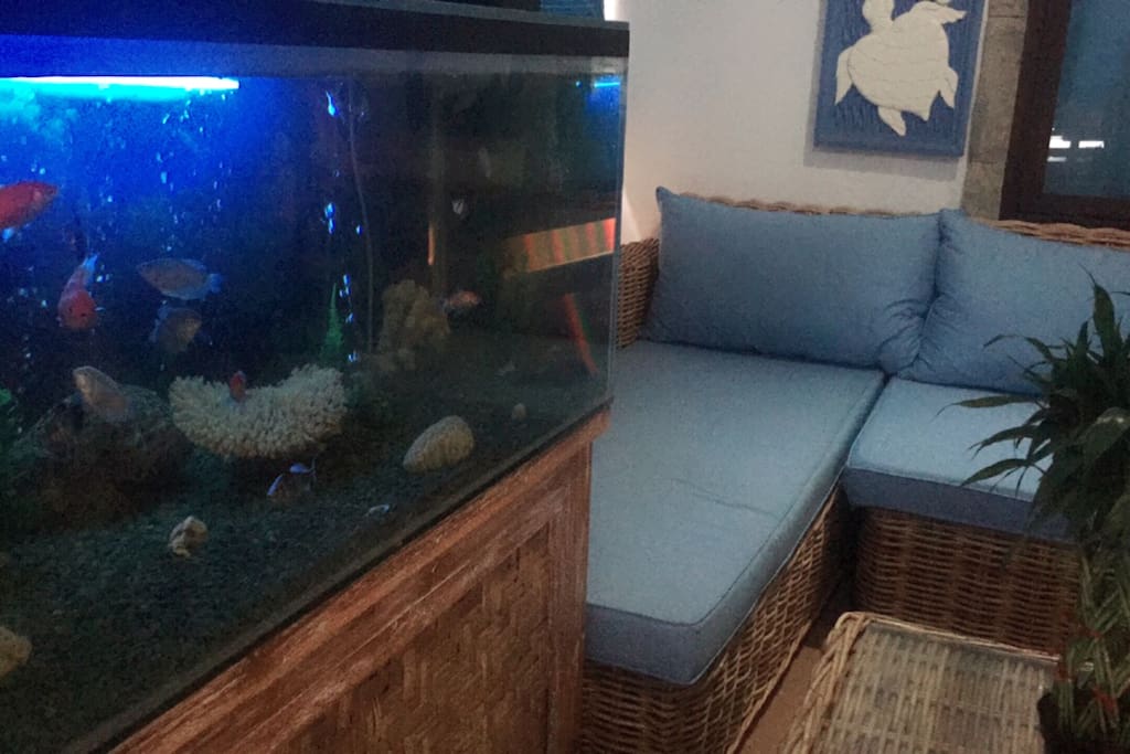 Living Area/Entrance